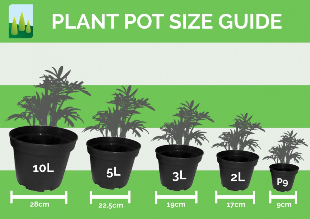 Plant Pot Sizes Chart Uk