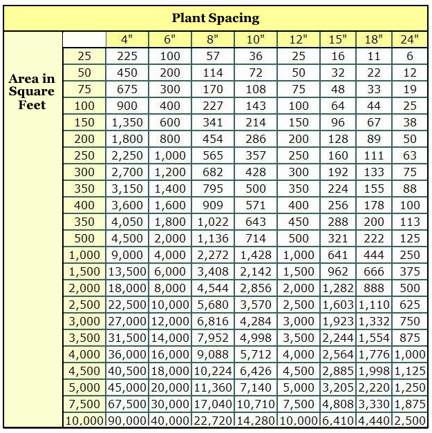 Plant Spacing Chart Butterfield Gardens Ground Cover Open 8am 4pm 