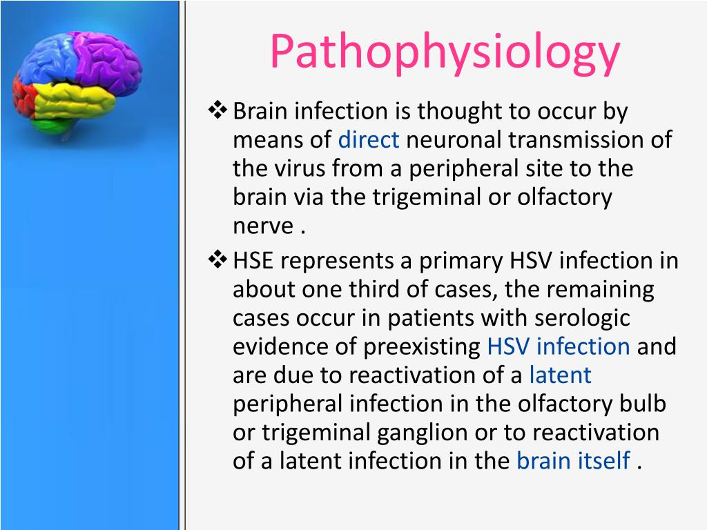 PPT ENCEPHALITIS PowerPoint Presentation Free Download ID 1904707