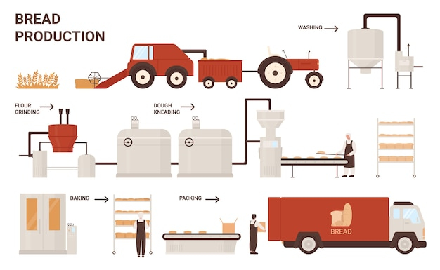 Premium Vector Bread Production Process