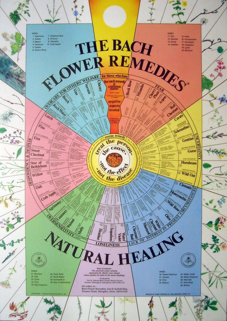 Printable Bach Flower Remedies Chart Pdf Printable Word Searches