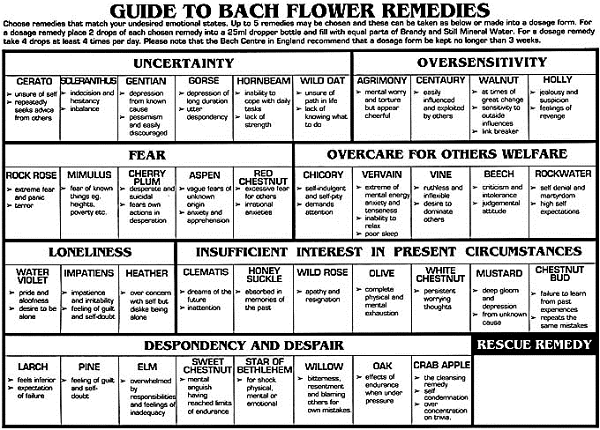 Printable Bach Flower Remedies Chart Pdf Printable Word Searches