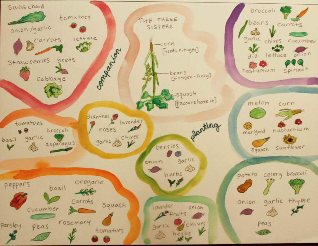 Printable Companion Planting Chart