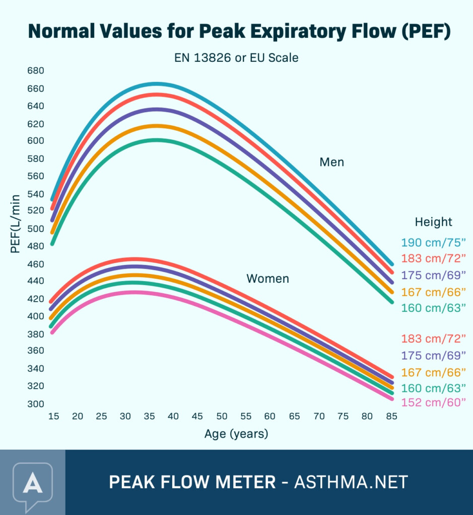 Printable Peak Flow Chart