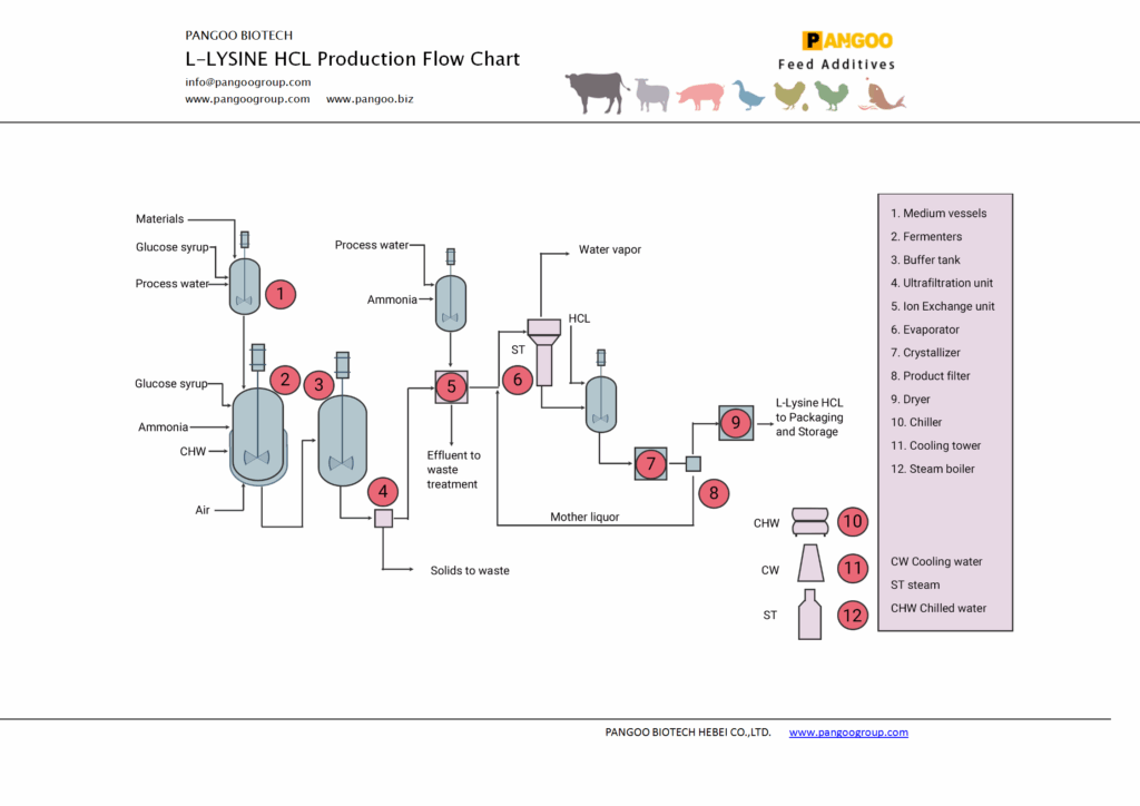 Production Flow Chart Of L lysine HCL PANGOO