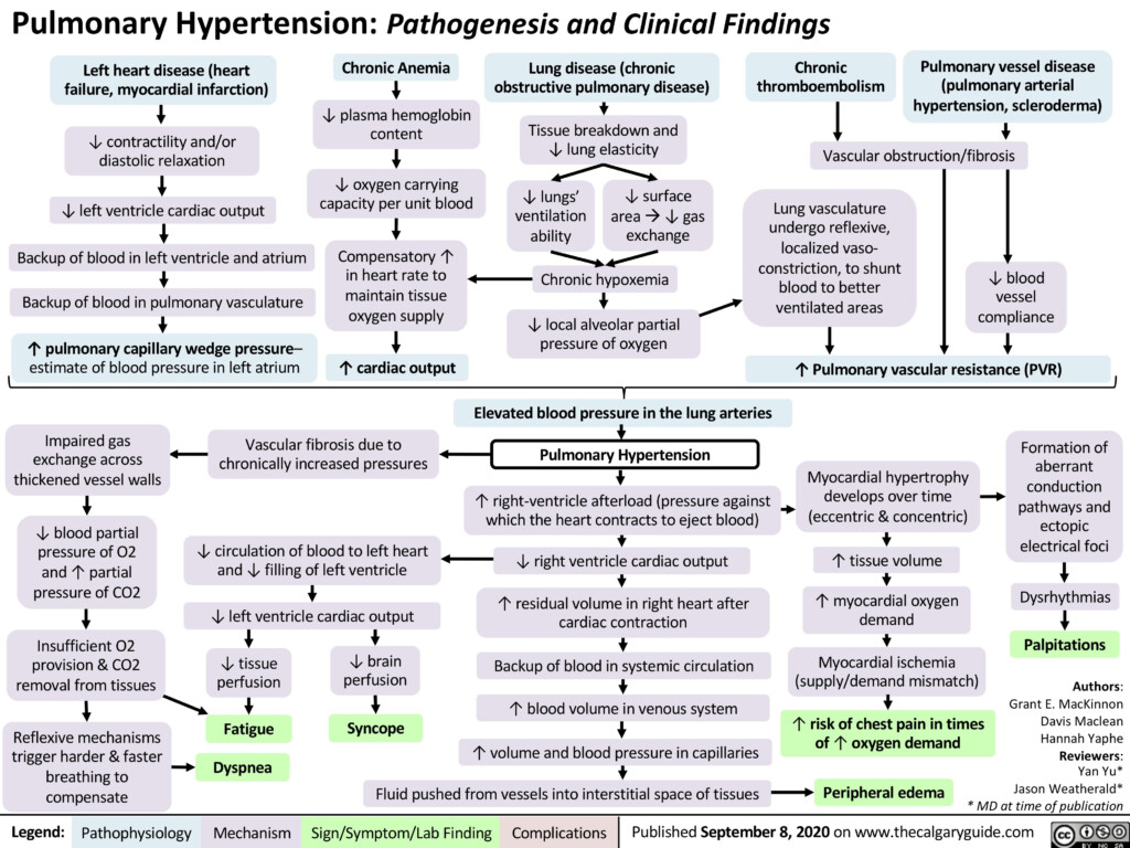 Pulmonary Hypertension Flow Chart What Is The Best Approach To A High 