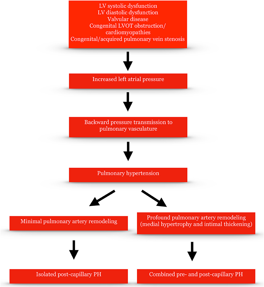 Pulmonary Hypertension