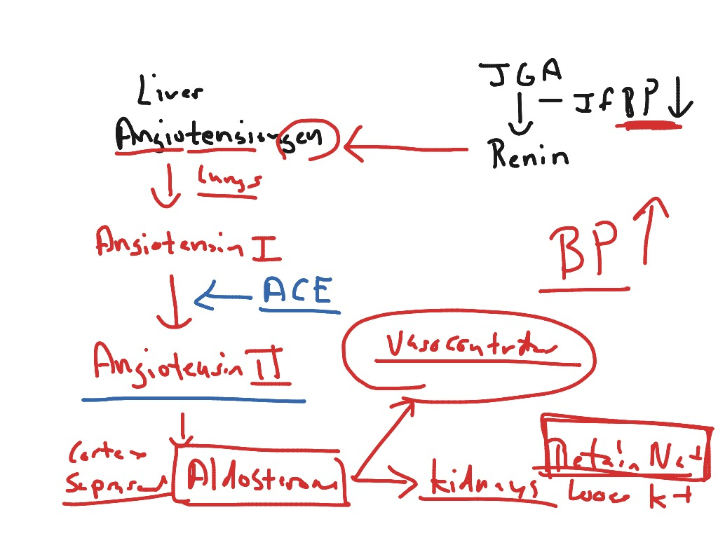 Raas System Diagram