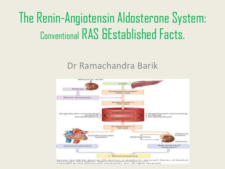 Renin Angiotensin System Flow Chart Minga