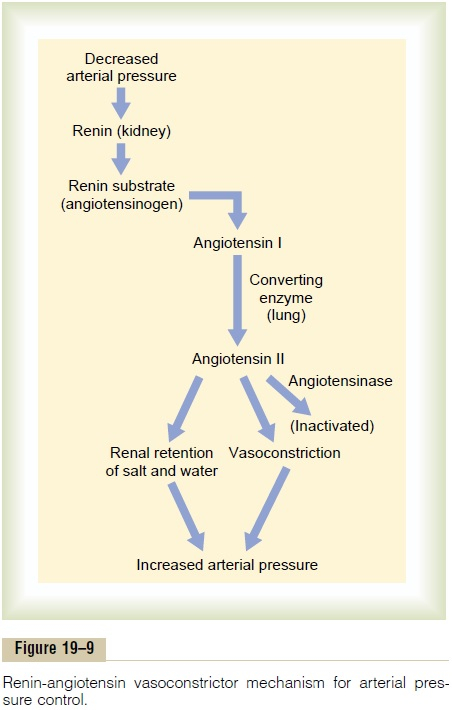 Renin Angiotensin System Flow Chart Vrogue co