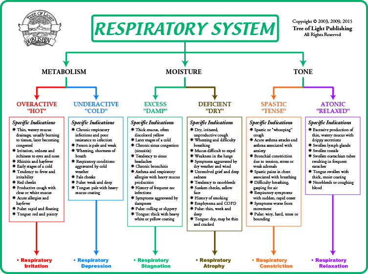 Respiratory System Flow Chart Ponasa