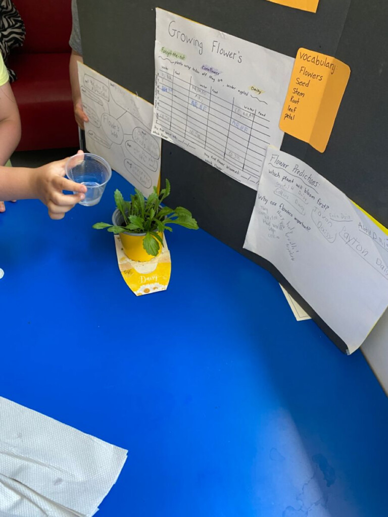 School Age flower Growth Chart