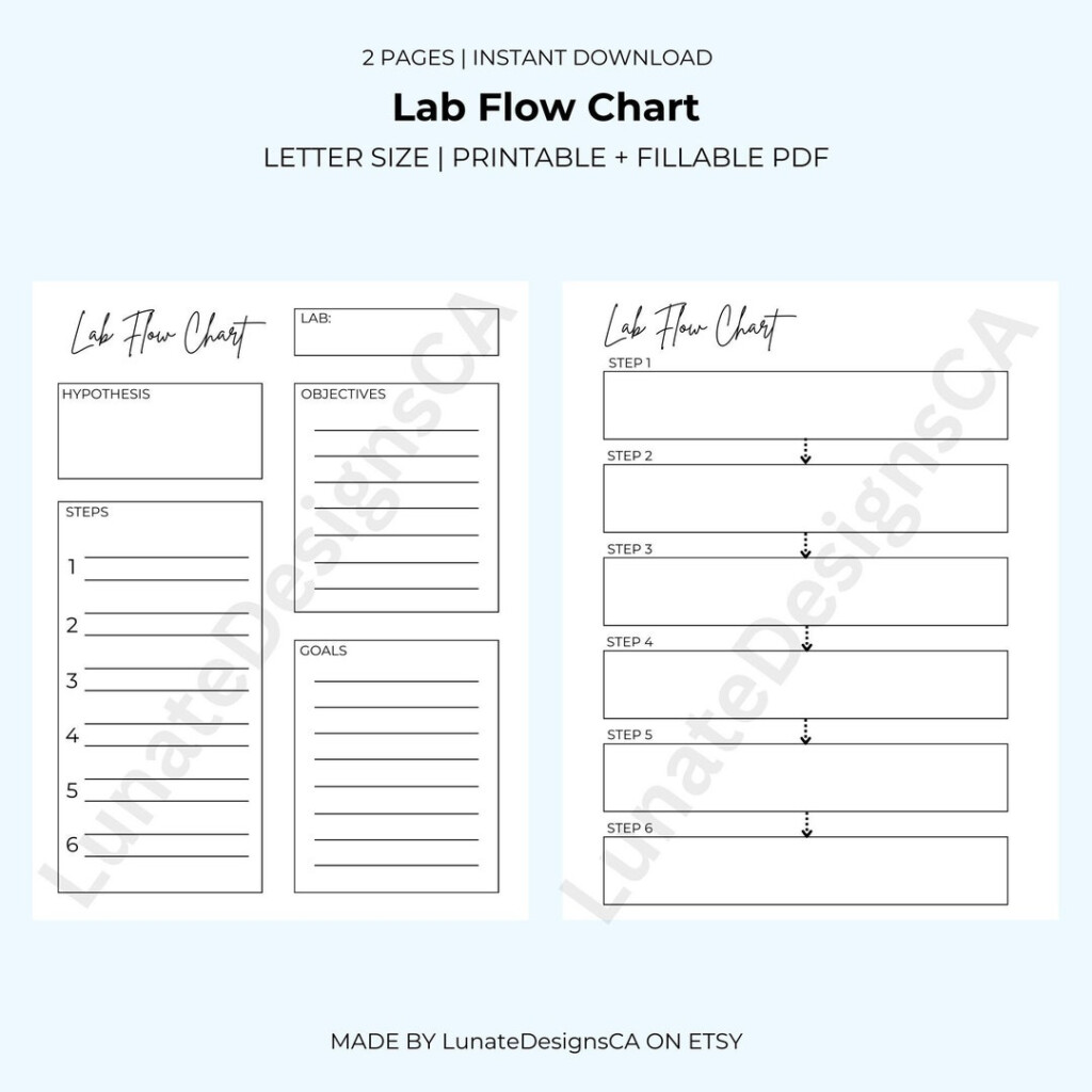 Science Lab Flow Chart School Flow Chart Biology nursing kinesiology 