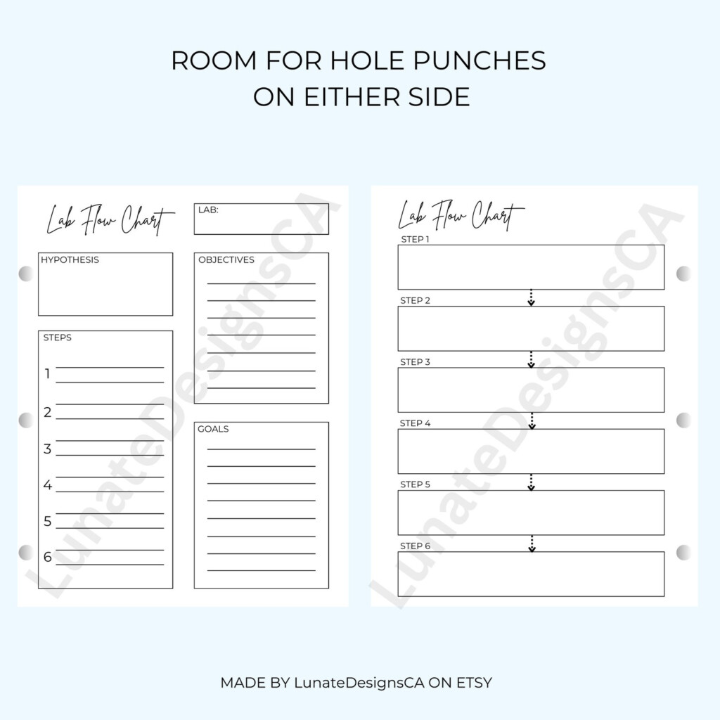 Science Lab Flow Chart School Flow Chart Biology nursing kinesiology 