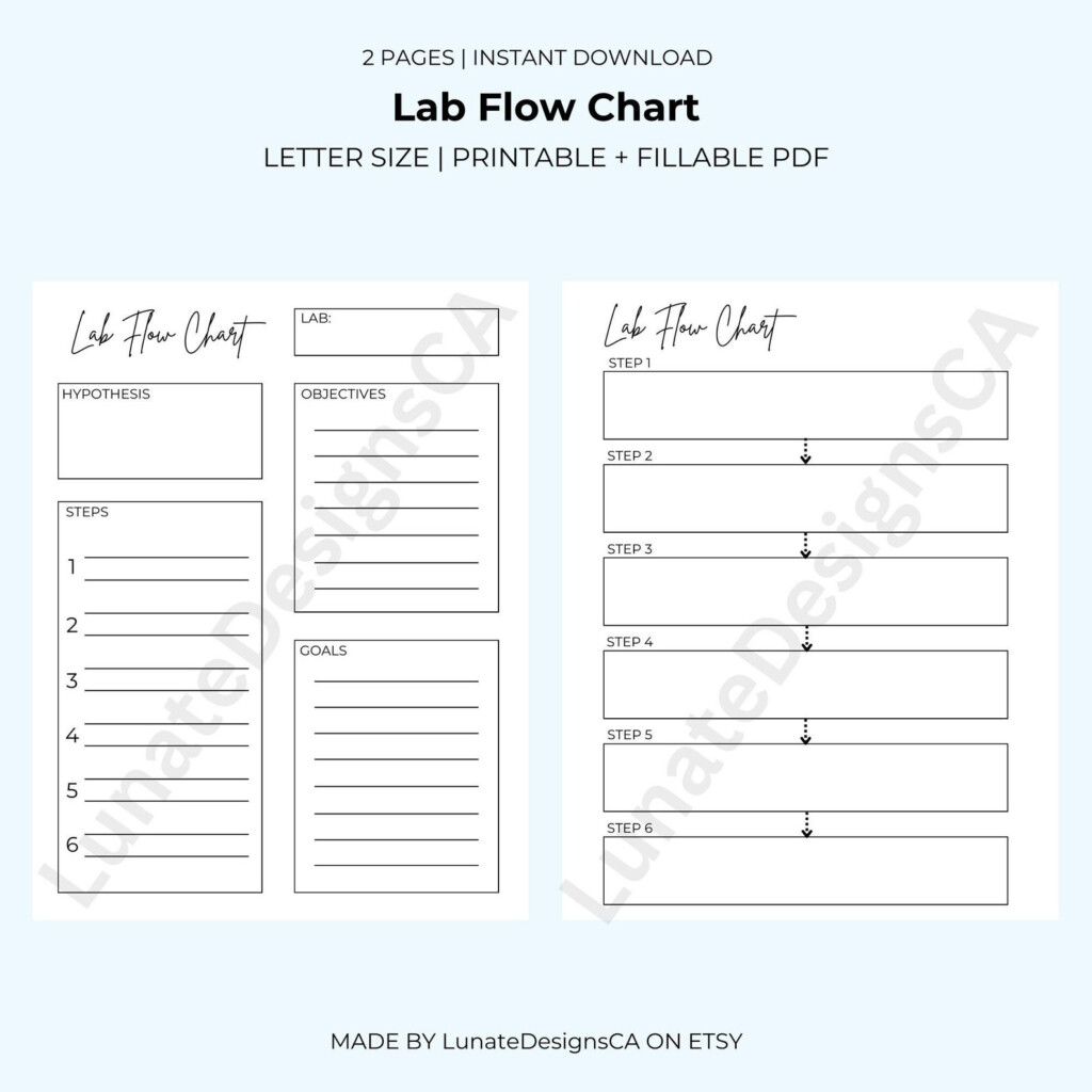 Science Lab Flow Chart School Flow Chart Biology nursing kinesiology 