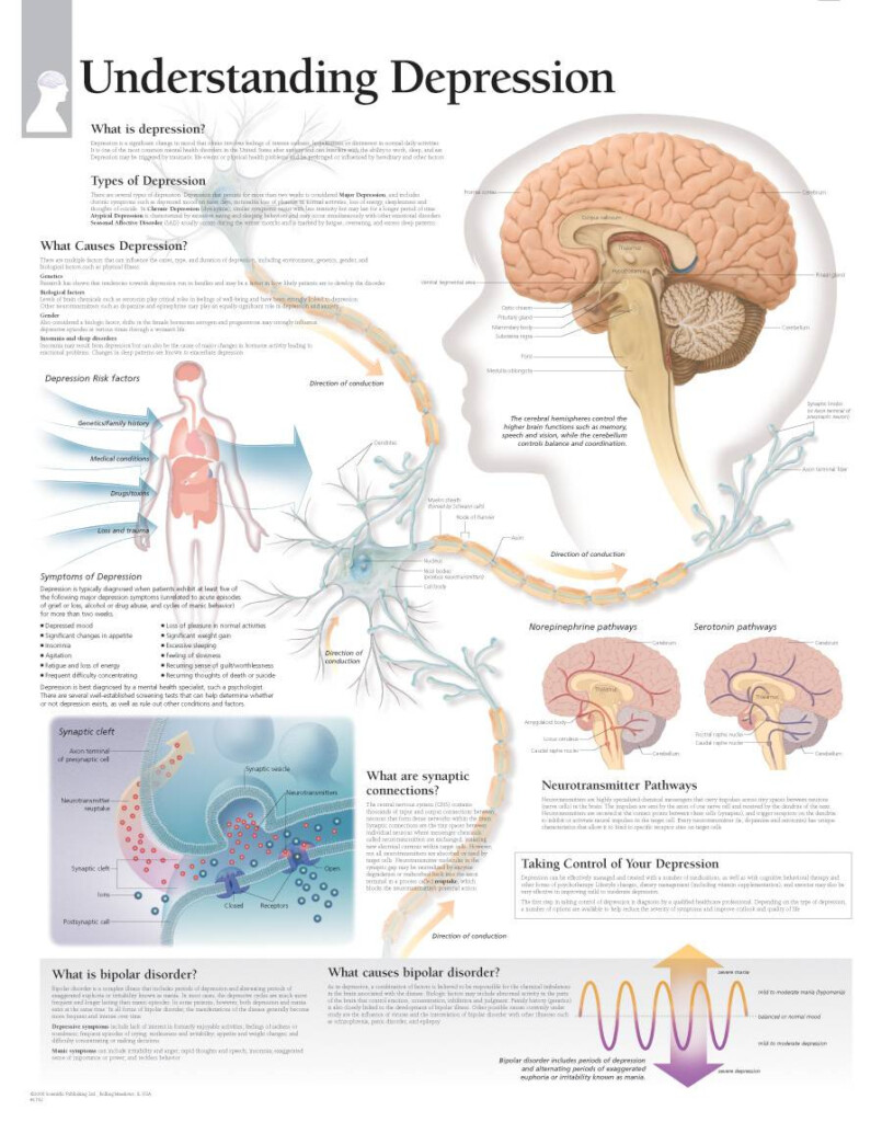 Scientific Publishing Understanding Depression Chart