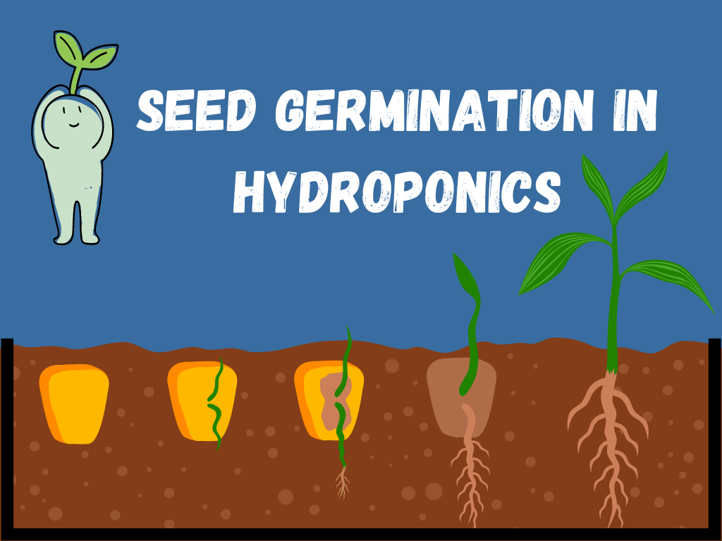 Seed Germination Time And Temperature Chart For Hydroponics
