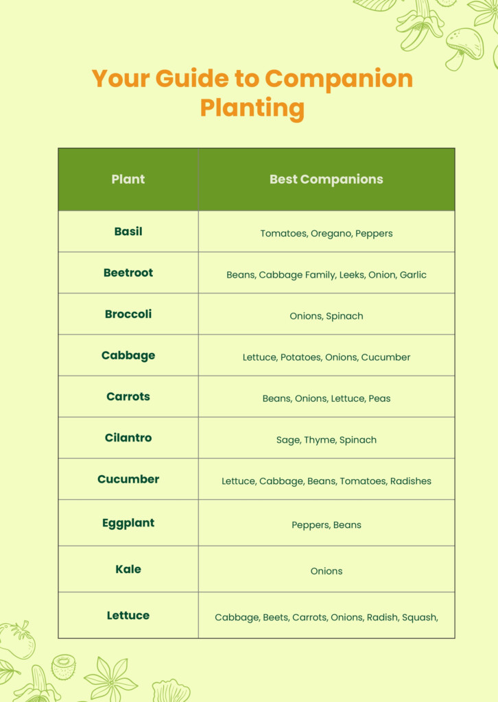 Simple Companion Planting Chart In Illustrator PDF Download 