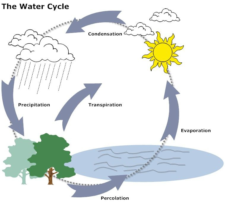 SmartDraw Easy Drawings Cycle Drawing Water Cycle Diagram