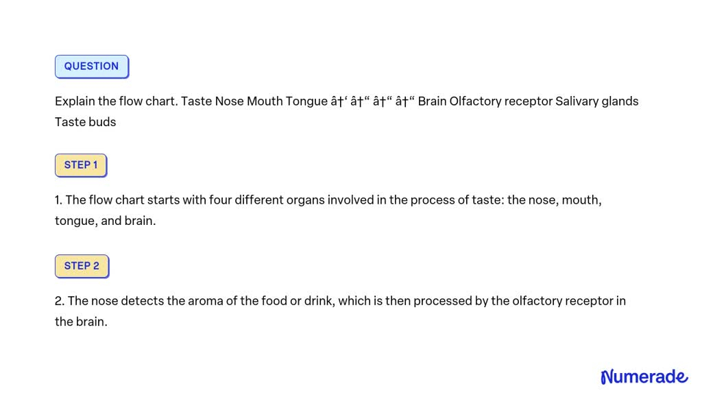 SOLVED Explain The Flow Chart Taste Nose Mouth Tongue 