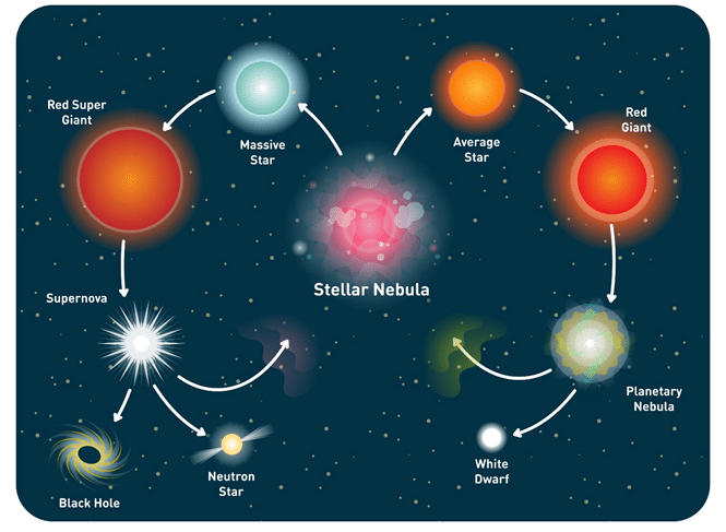 Star Life Cycle Chart Pdf