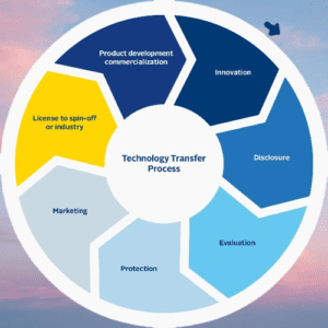 Technology Transfer In Pharmaceutical Industry 2023 Flair Pharma The 