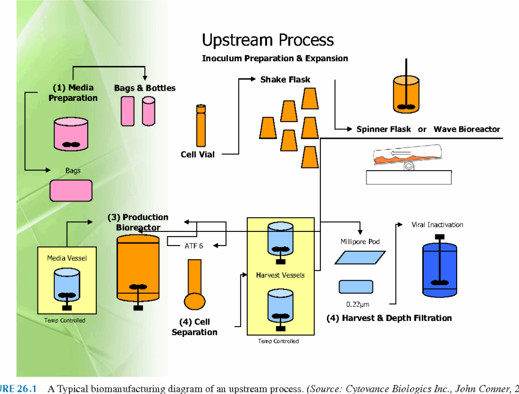 Upstream Processing Flow Chart A Visual Reference Of Charts Chart Master