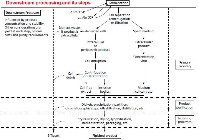 Upstream Processing Flow Chart A Visual Reference Of Charts Chart Master