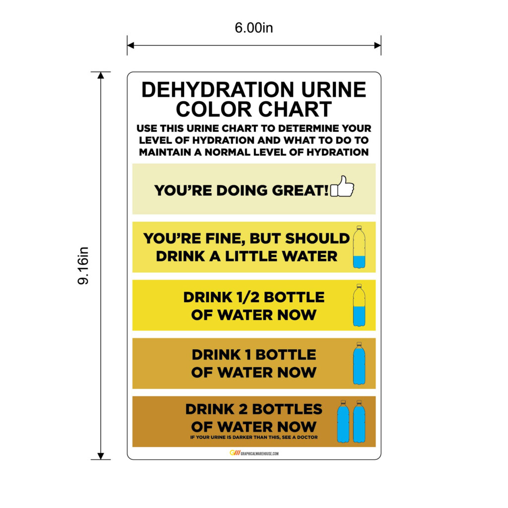 Urine Color Chart Royalty Free Vector Image VectorStock 42 OFF