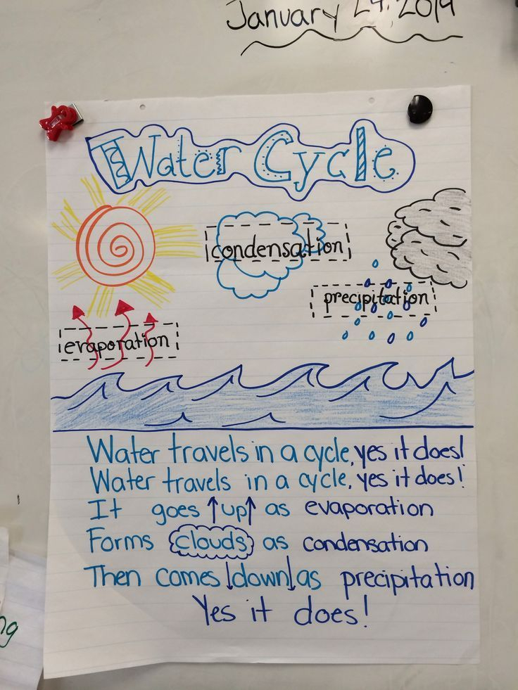 Water Cycle Kwl Chart Kwl Chart Water Cycle Project W Vrogue co