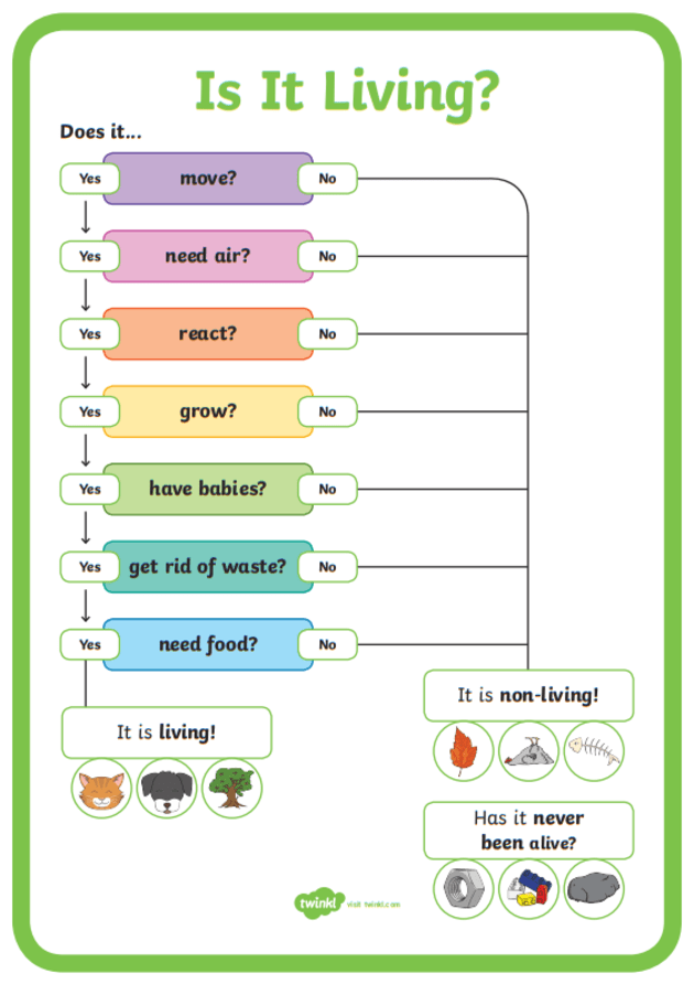 What Is A Flow Chart Answered Twinkl Teaching Wiki