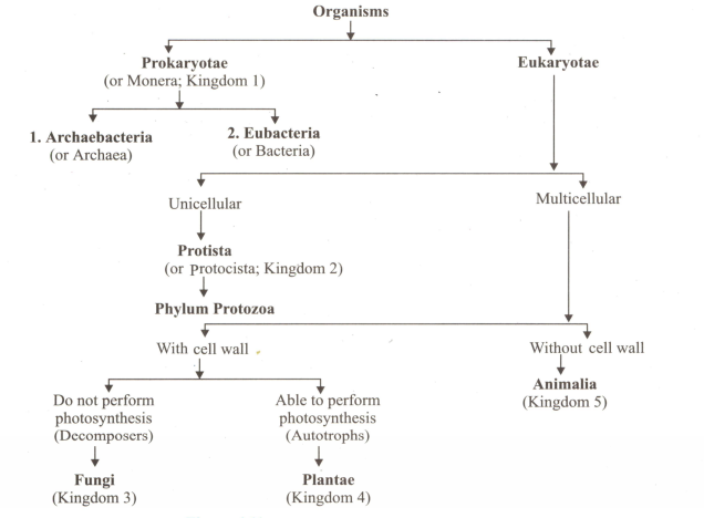 With The Help Of Flow Chart Depict Five Kingdom Classification